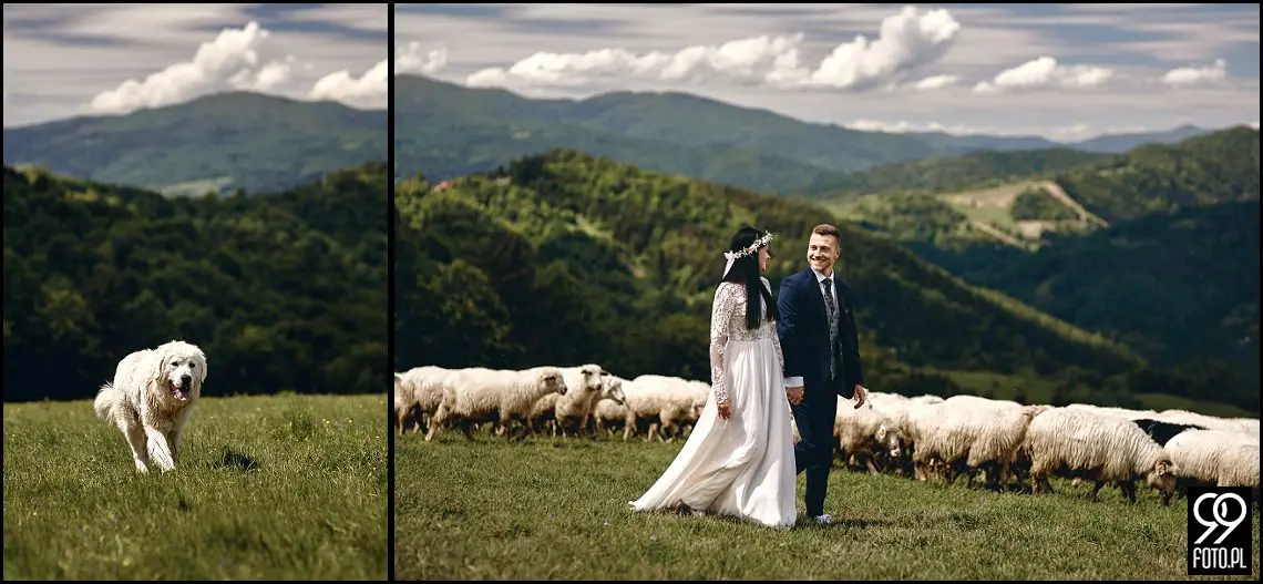 sesja ślubna pieniny, wysoki wierch w pieninach, fotograf na sesje ślubną szczawnica