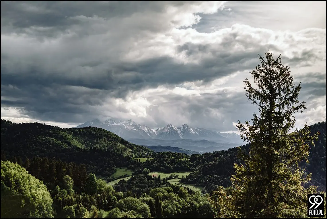 sesja ślubna pieniny, wysoki wierch w pieninach, fotograf na sesje ślubną szczawnica