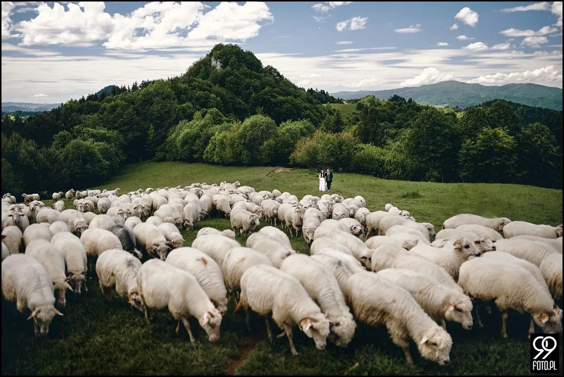 sesja ślubna pieniny, wysoki wierch w pieninach, fotograf na sesje ślubną szczawnica