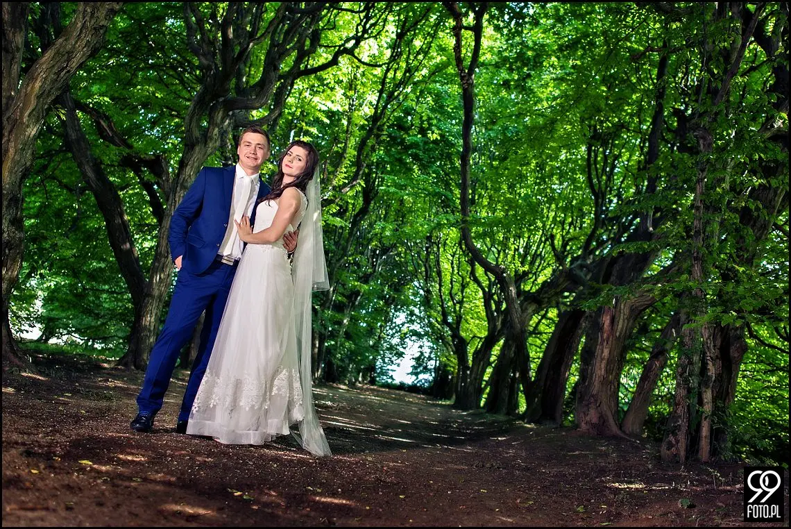 sesja ślubna kraków,plener ślubny kraków