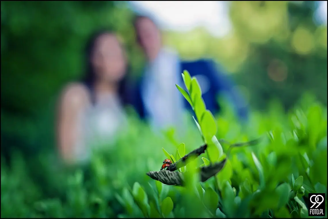 sesja ślubna kraków,plener ślubny kraków