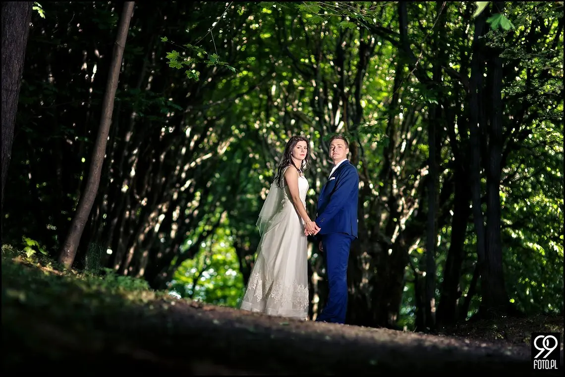 sesja ślubna kraków,plener ślubny kraków