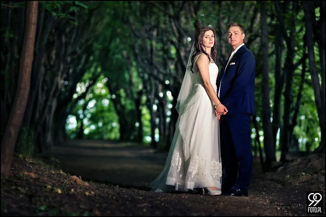 sesja ślubna kraków,plener ślubny kraków