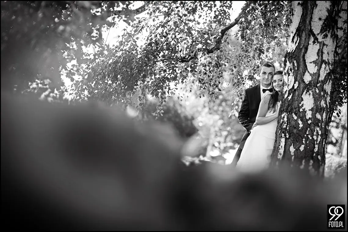 sesja ślubna kazimierz,zdjęcia ślubne na wawelu,fotograf na ślub kraków