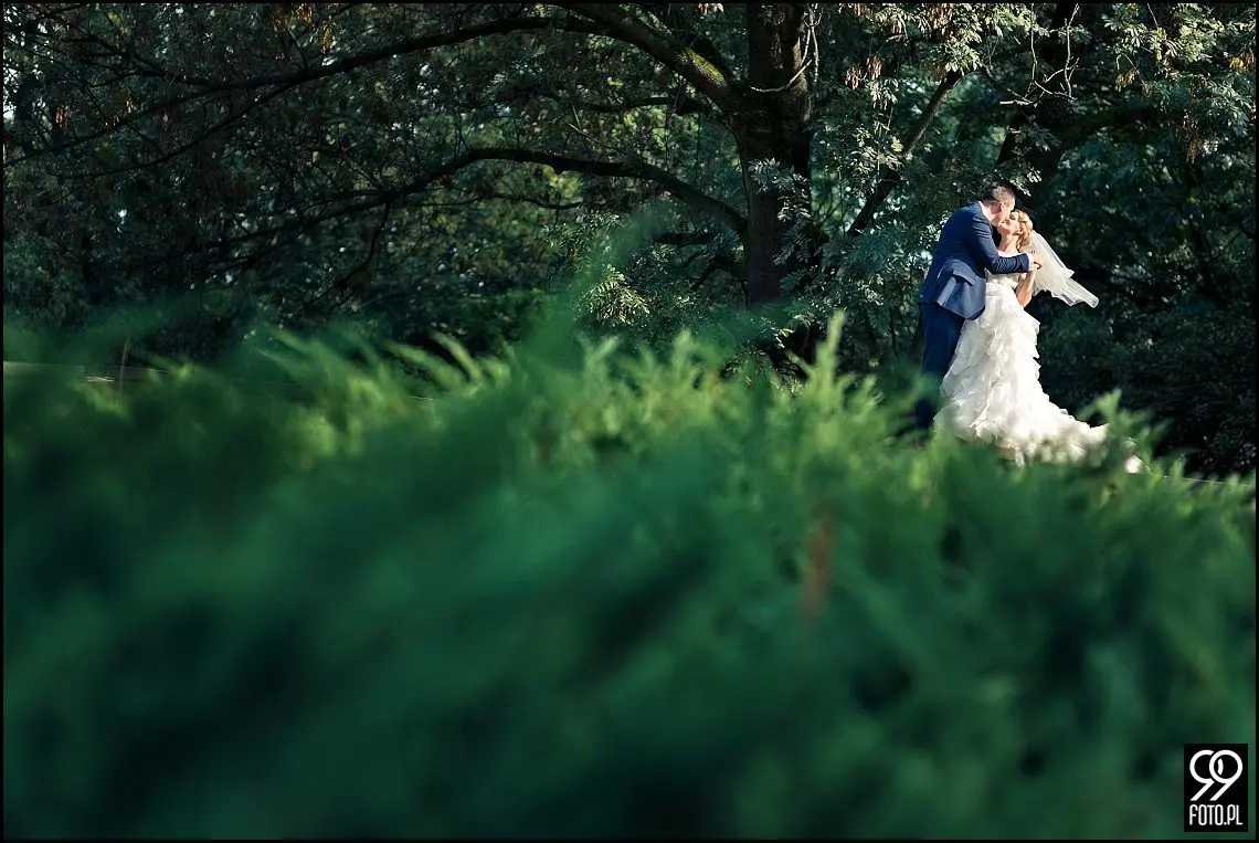 zdjęcia ślubne wawel,plener ślubny kopiec kościuszki