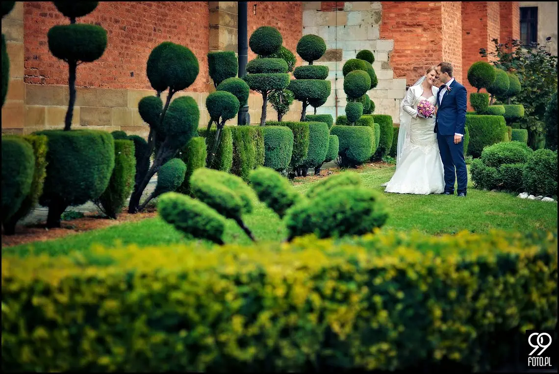 sesja ślubna kazimierz,plener ślubny w krakowie