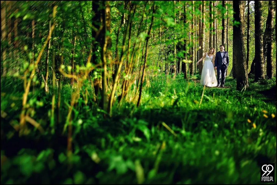 sesja ślubna kraków,plener ślubny kraków