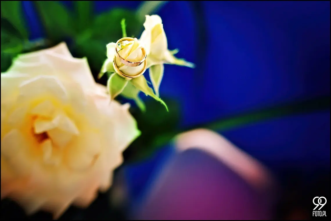 fotograf na wesele kraków,reportaż ślubny bolechowiece,dom weselny u niedźwiedzia