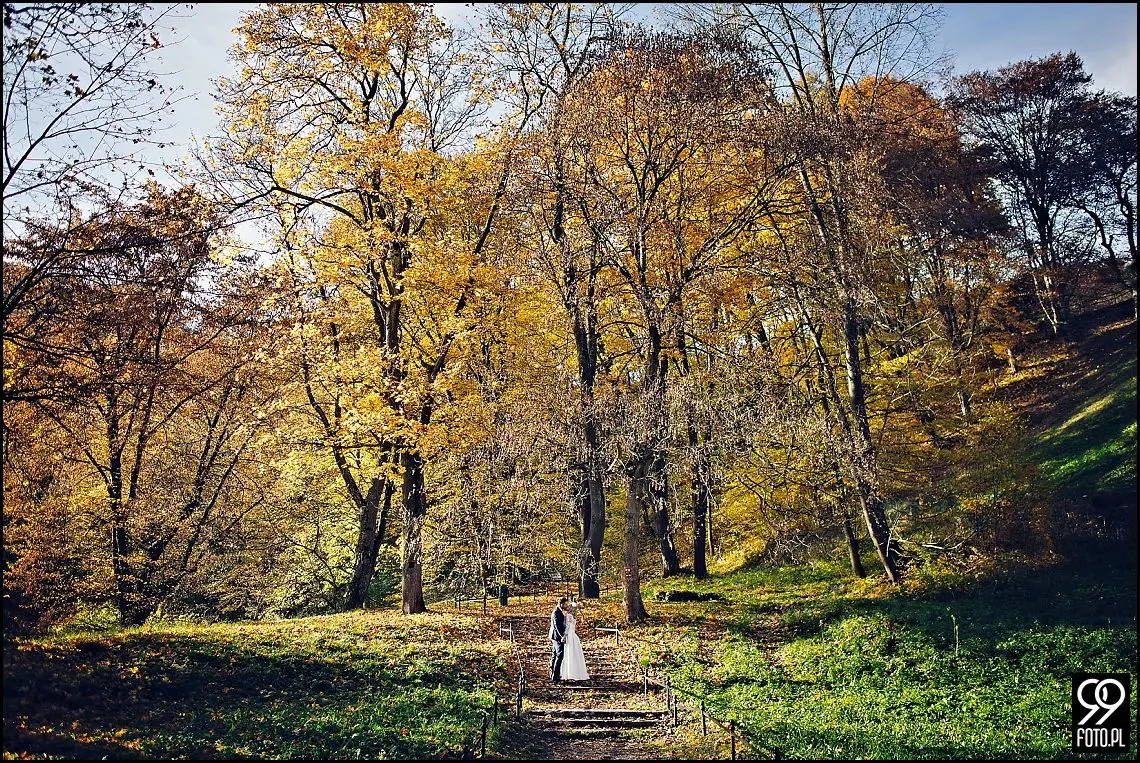 sesja ślubna pieskowa skała,plener ojców