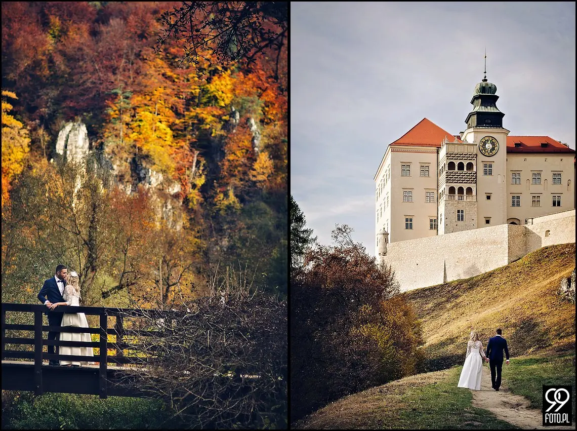 sesja ślubna pieskowa skała,plener ojców