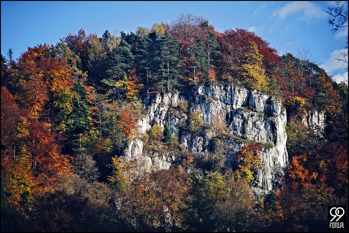sesja ślubna pieskowa skała,plener ojców