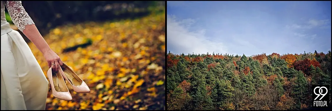 sesja ślubna pieskowa skała,plener ojców