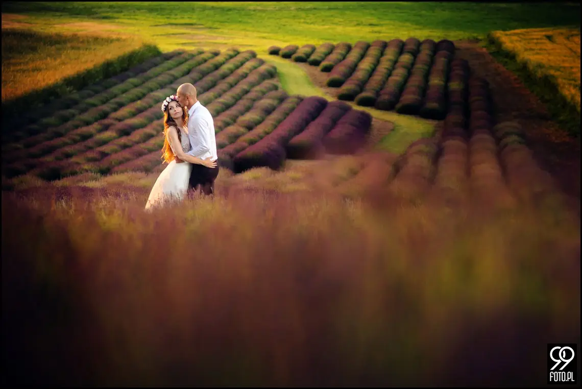 lawendowe pole pod krakowem,sesja ślubna kraków