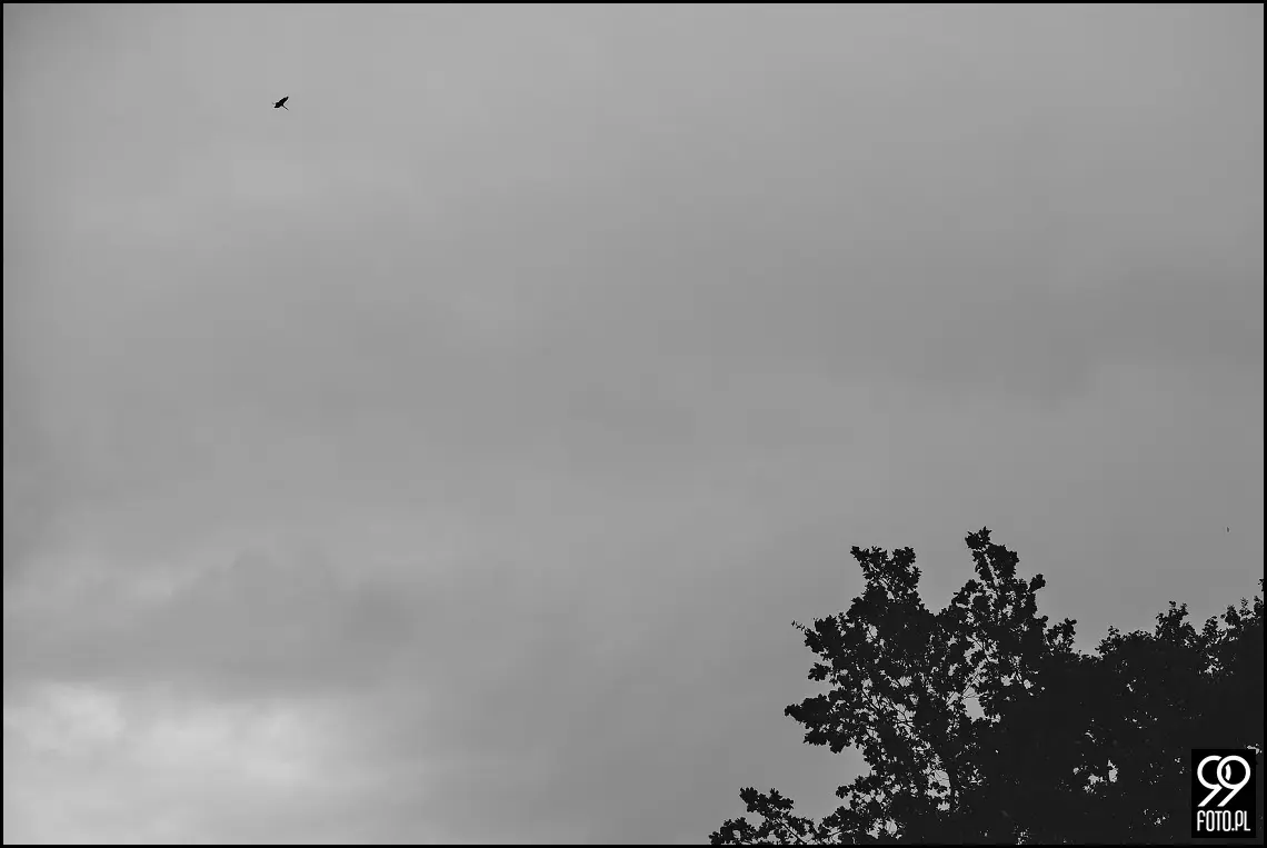 sala weselna marion tarnów,fotograf na wesele tarnów,dom weselny tarnów