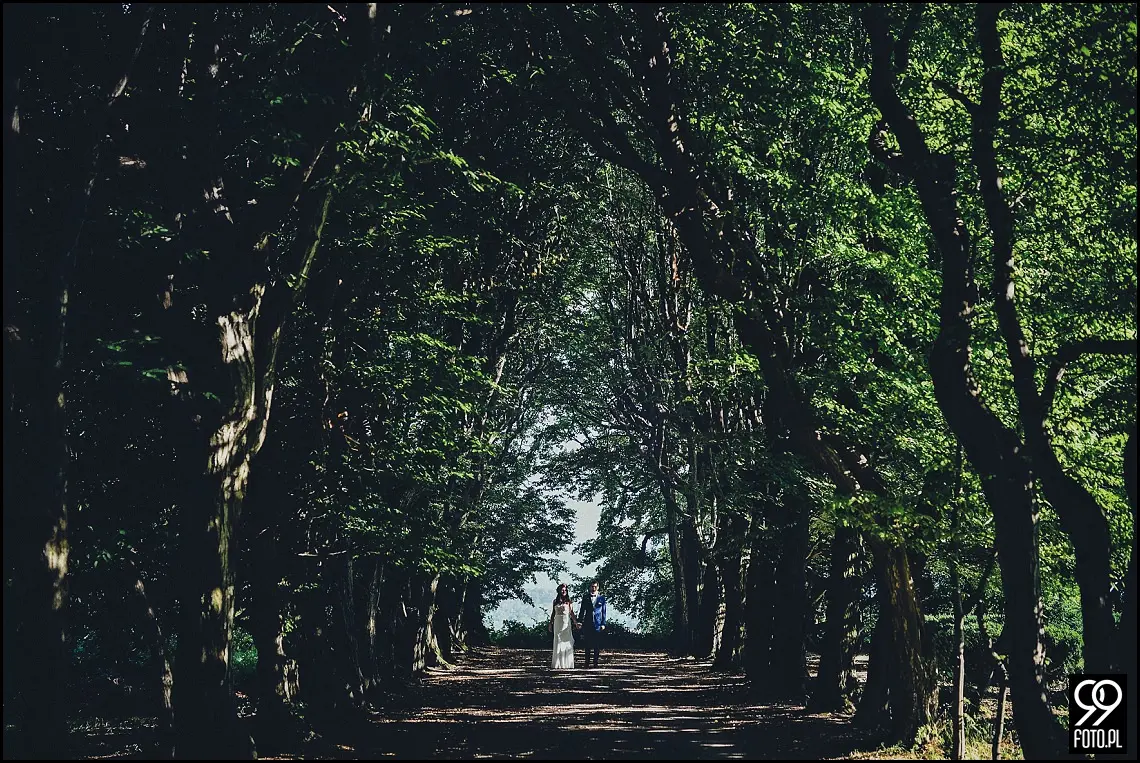 park w mogilanach,plener ślubny zakrzówek,sesja ślubna kazimierz
