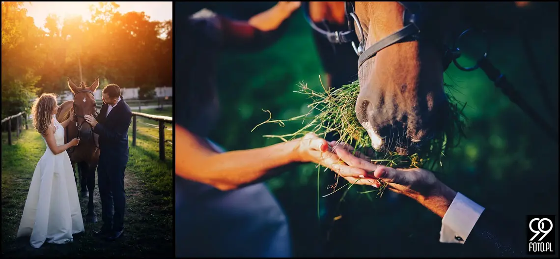 witkowa chata kraków,ślub plenerowy kraków,ślub w plenerze