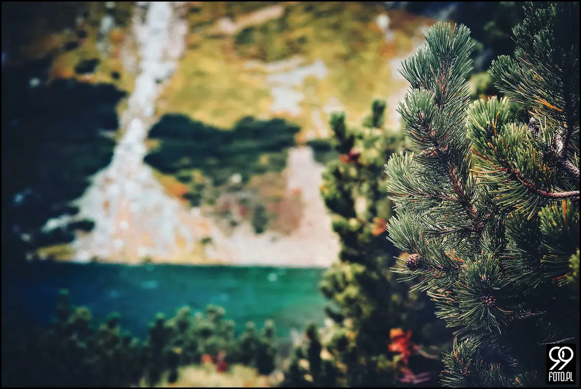 Opactwo Cystersów Mogiła, Plener ślubny Czarny Staw Gąsienicowy, Sesja zdjęciowa Kasprowy Wierch