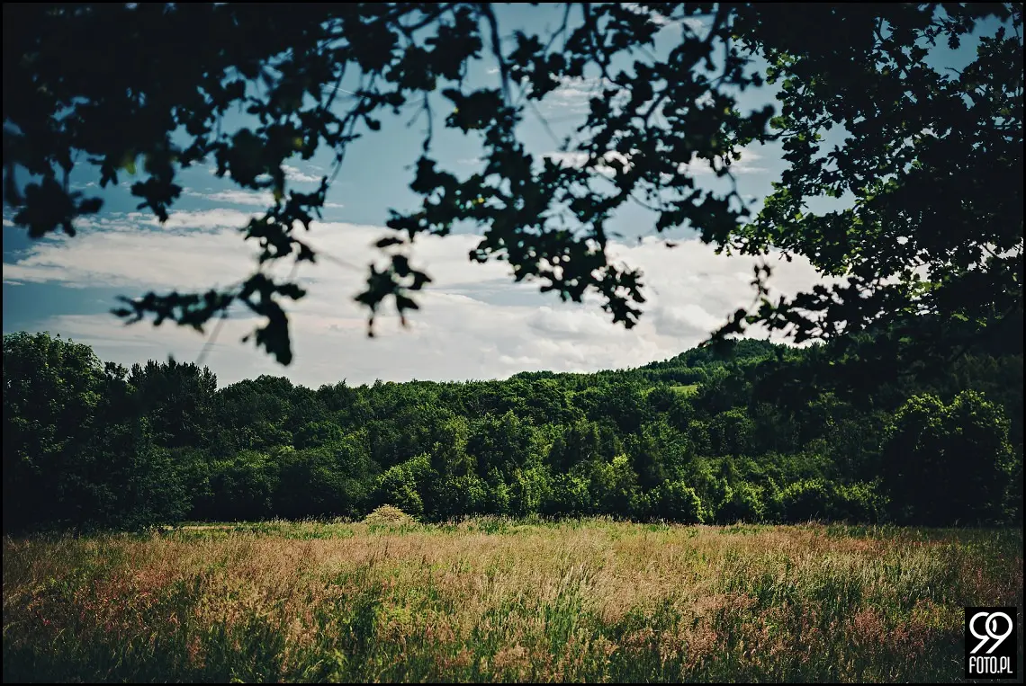 Ślub w Lanckoronie, Restauracja Old Joker Jaroszowice, fotograf na wesele Wadowice