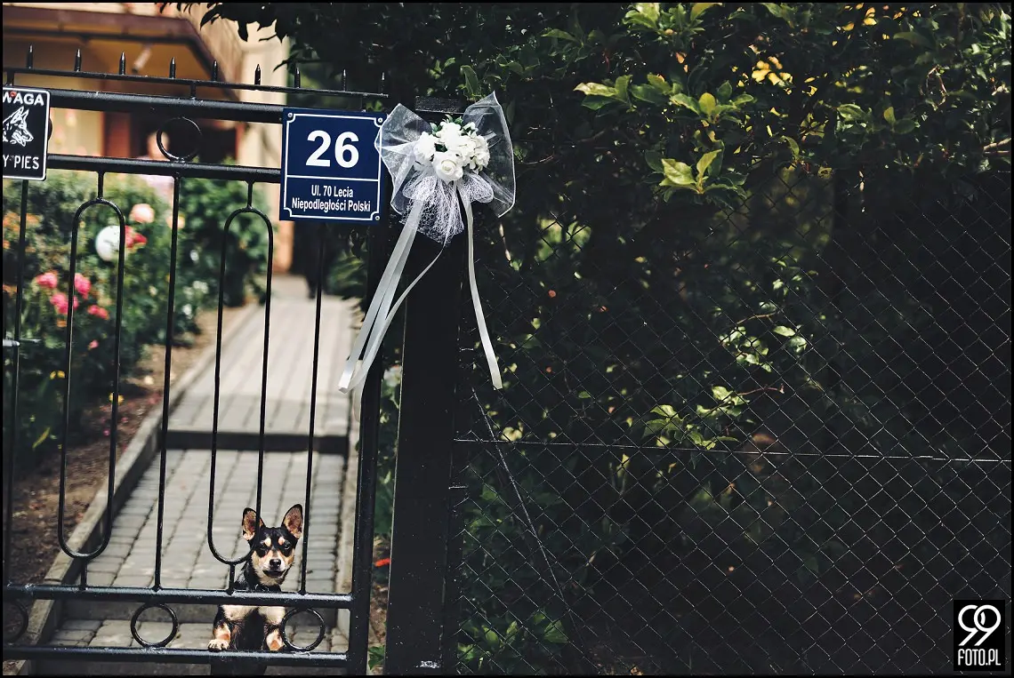 Fotograf ślubny Kalwaria Zebrzydowska, Arkadia Wadowice