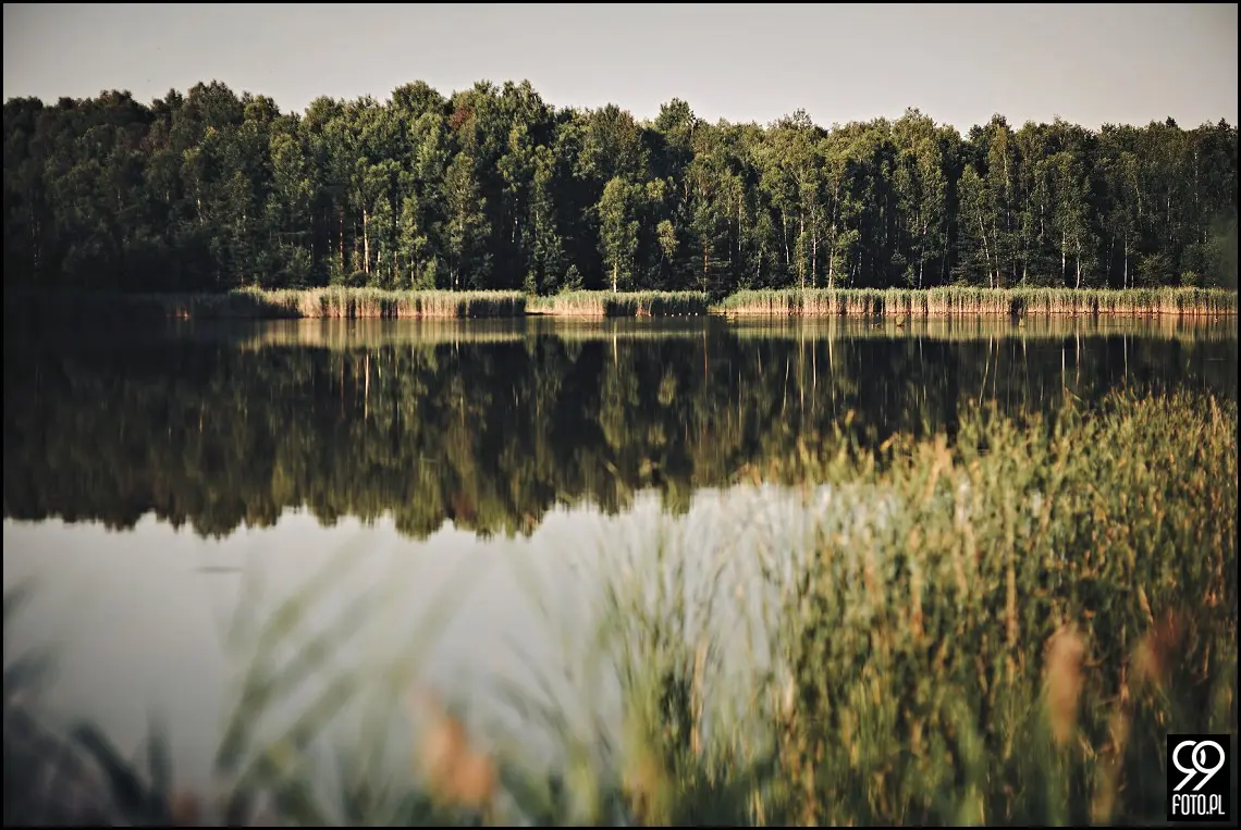 Sesja narzeczeńska w Krakowie, Nadwiślański Park Etnograficzny Wygiełzów, Zamek Lipowiec