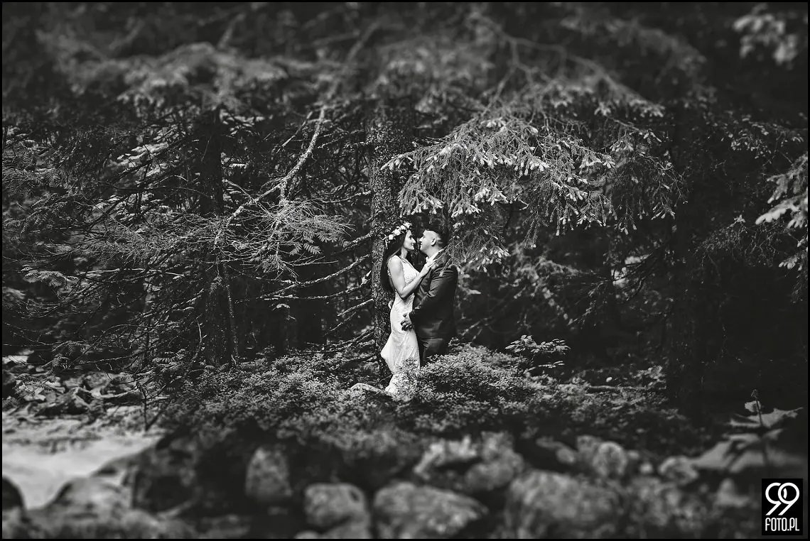 sesja ślubna Popradzki Staw, plener na Słowacji, zdjęcia nad Szczyrbskim Jeziorem