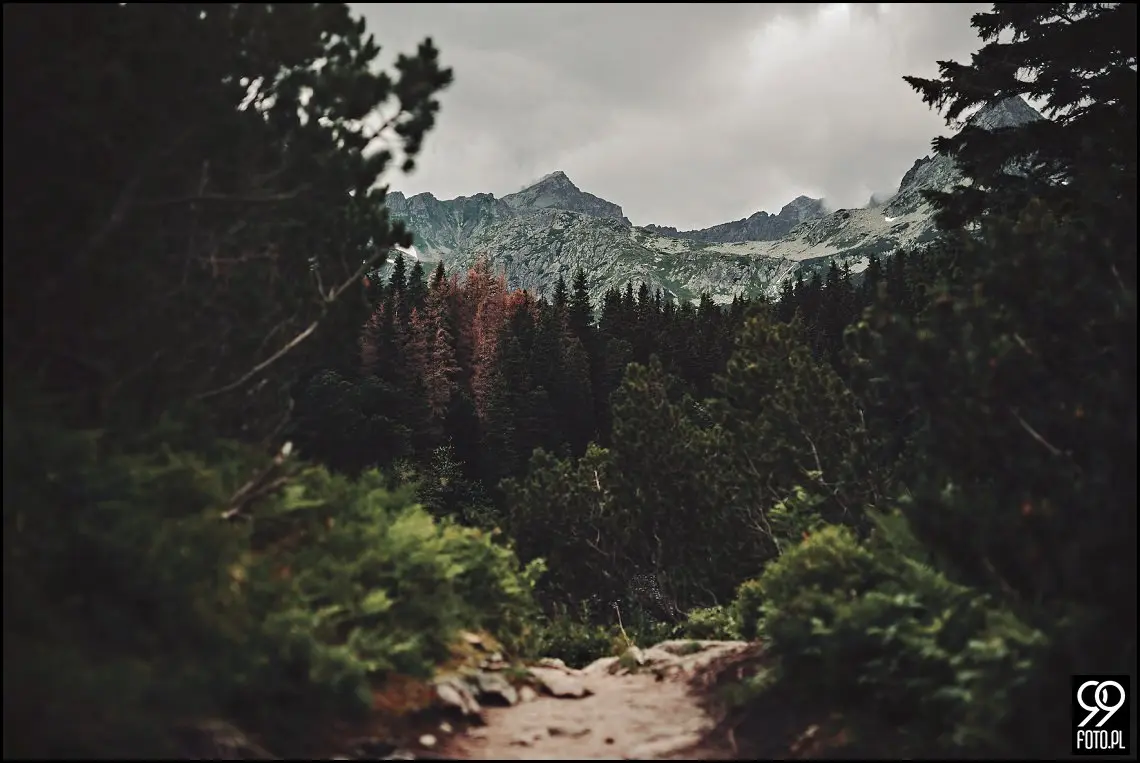 sesja ślubna Popradzki Staw, plener na Słowacji, zdjęcia nad Szczyrbskim Jeziorem