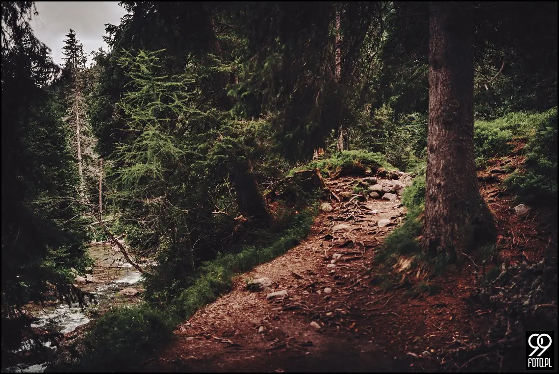 sesja ślubna Popradzki Staw, plener na Słowacji, zdjęcia nad Szczyrbskim Jeziorem