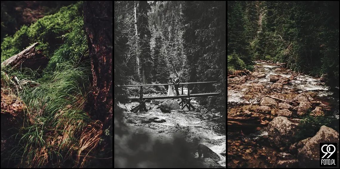 sesja ślubna Popradzki Staw, plener na Słowacji, zdjęcia nad Szczyrbskim Jeziorem