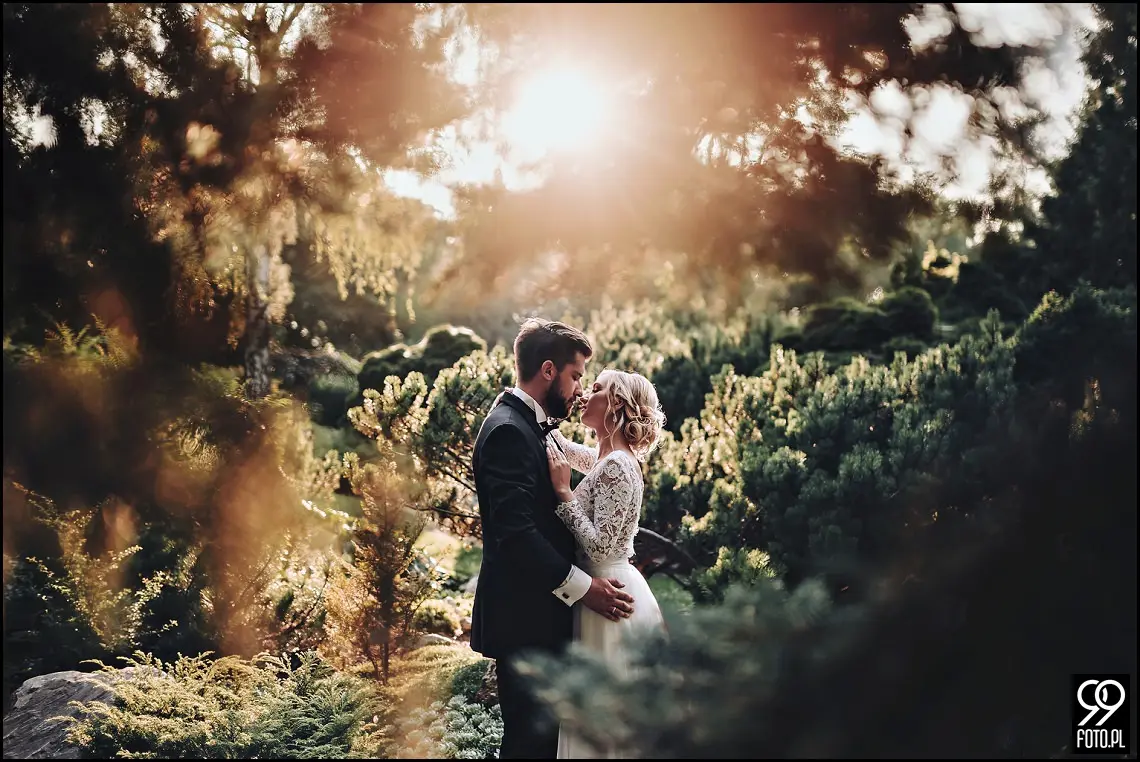 Ogród Botaniczny w Krakowie, ślubna sesja zdjęciowa Kraków, plener ślubny w dzień po ślubie