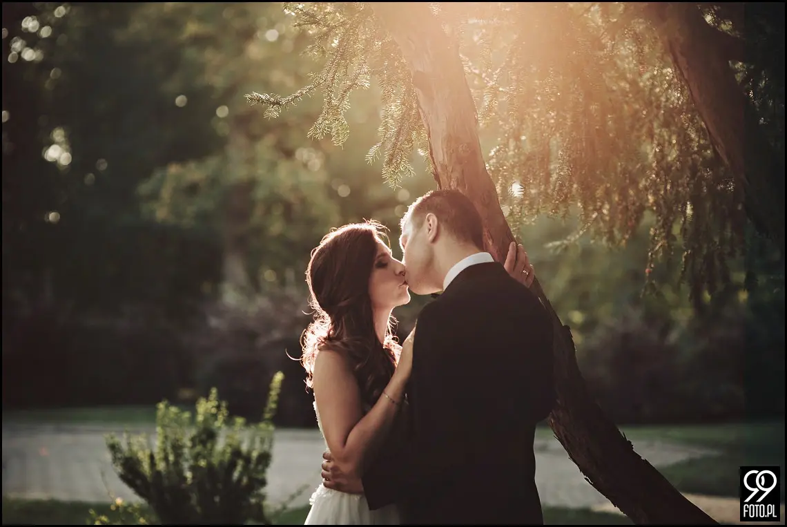 pałac goetz, pałac goetza brzesko, ślubna sesja zdjęcia, sala ślubna pałac goetz, wesele pod krakowem