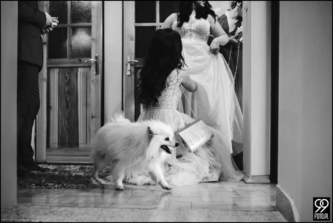 Wesele międzynarodowe, polskie tradycje weselne, fotograf na wesele Proszowice